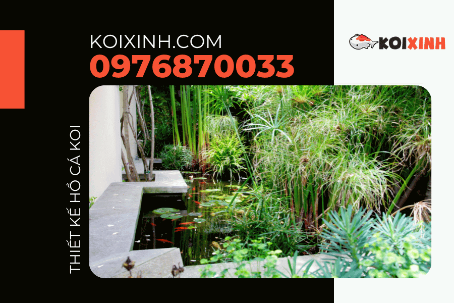 Một số dự án và phong cách hồ Cá Koi mà Koixinh.com đã tư vấn, thiết kế, triển khai. Một số dự án và phong cách hồ Cá Koi mà Koixinh.com đã tư vấn, thiết kế, triển khai.