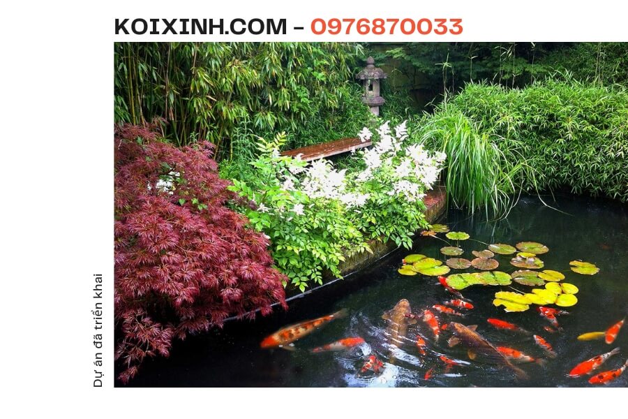 Một số dự án và phong cách hồ Cá Koi mà Koixinh.com đã tư vấn, thiết kế, triển khai.