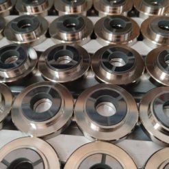 Máy bơm hồ cá Koi điện 1 chiều 24V WeeDoo DCP 16000