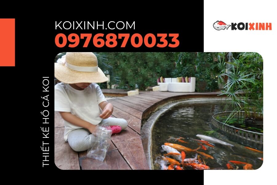 Hướng dẫn cách thiết kế hồ cá Koi chi tiết Hướng dẫn cách thiết kế hồ cá Koi chi tiết