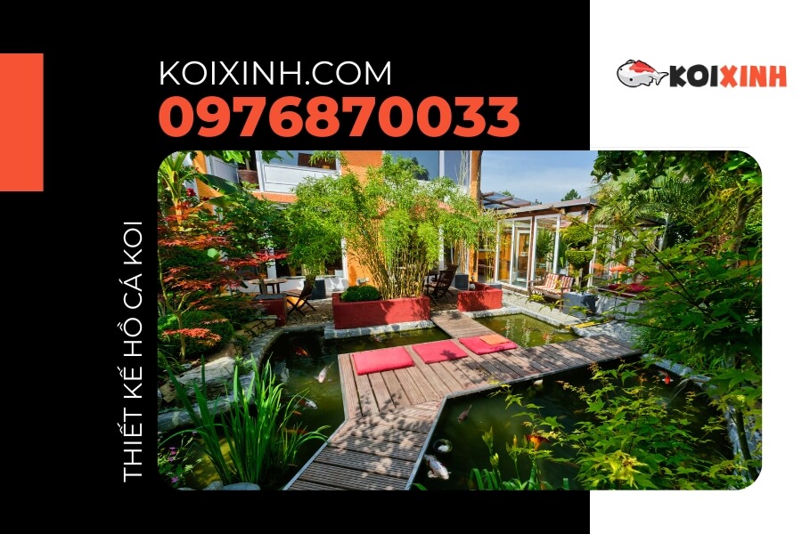 Bể cá Koi cho biệt thự Bể cá Koi cho biệt thự
