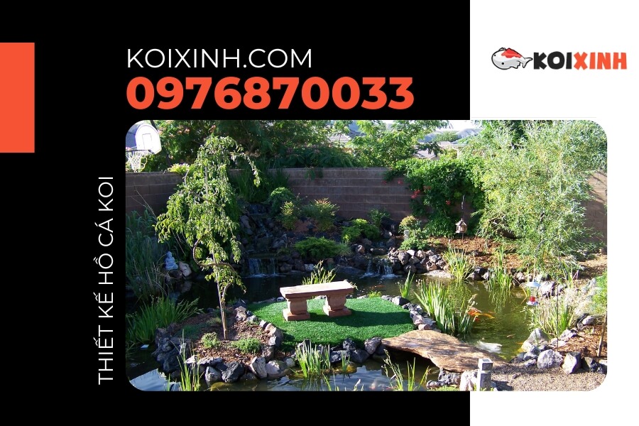 Bể cá Koi sân vườn Bể cá Koi sân vườn