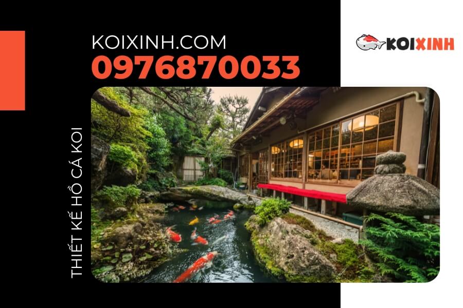 Bể cá Koi hiện đại ngoài trời Bể cá Koi hiện đại ngoài trời