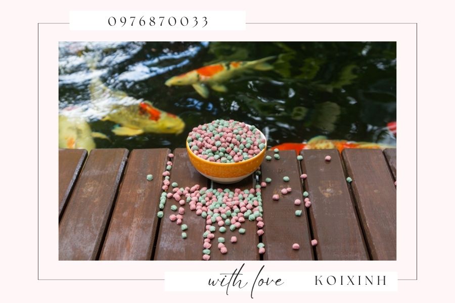 Ưu nhược điểm của ánh nắng đối với hồ cá Koi trong mùa hè Ưu nhược điểm của ánh nắng đối với hồ cá Koi trong mùa hè