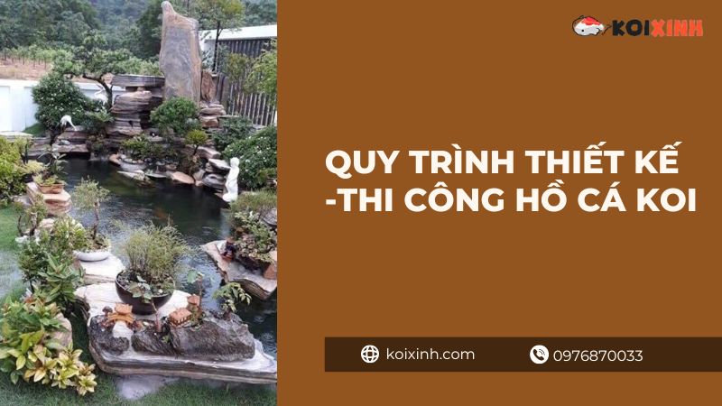 Khám phá hồ cá Koi dài nhất Việt Nam Khám phá hồ cá Koi dài nhất Việt Nam