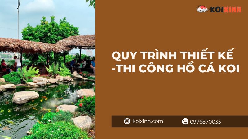 Khám phá hồ cá Koi dài nhất Việt Nam Khám phá hồ cá Koi dài nhất Việt Nam