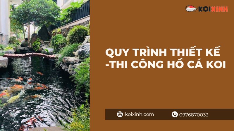 Khám phá hồ cá Koi dài nhất Việt Nam Khám phá hồ cá Koi dài nhất Việt Nam