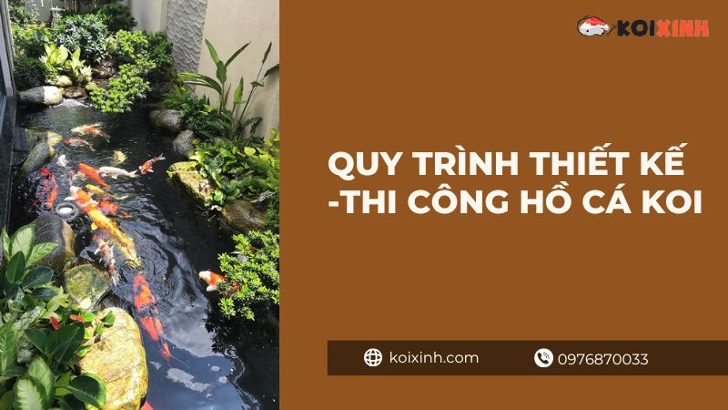 Khám phá hồ cá Koi dài nhất Việt Nam Khám phá hồ cá Koi dài nhất Việt Nam