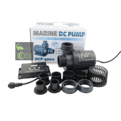 Bơm điện một chiều Jebao DCP 5000