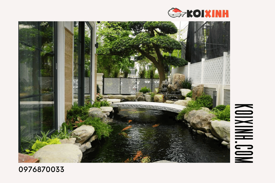 Thiết kế hồ Cá Koi giá rẻ chất lượng cao tại Hà Nội Thiết kế hồ Cá Koi giá rẻ chất lượng cao tại Hà Nội