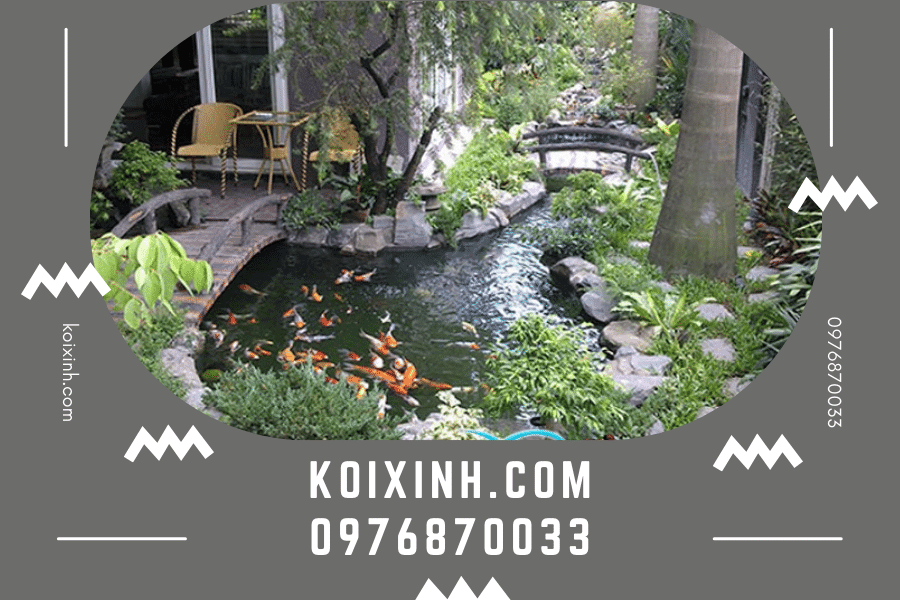 Thiết kế hồ Cá Koi giá rẻ chất lượng cao tại Hà Nội Thiết kế hồ Cá Koi giá rẻ chất lượng cao tại Hà Nội