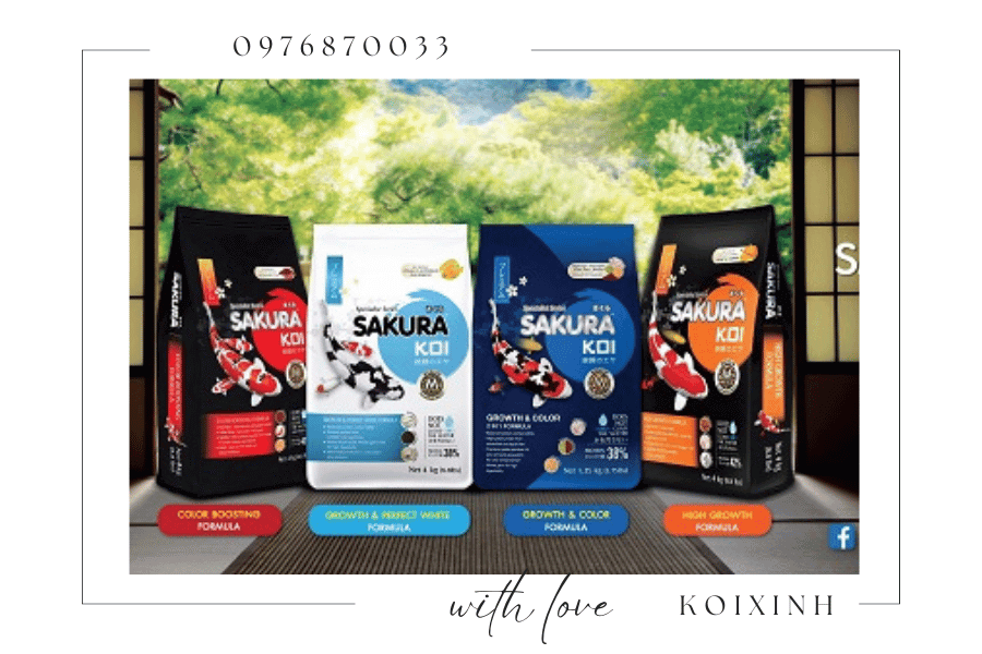 Thức ăn Sakura 2 trong 1 thực sự tuyệt vời Thức ăn Sakura 2 trong 1 thực sự tuyệt vời
