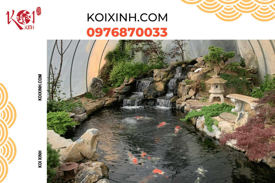 Đừng lo lắng về việc cá Koi không hoạt động nhiều vào mùa đông Cách giữ cá Koi an toàn trong mùa đông