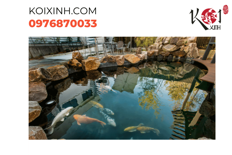 Một hồ cá Koi hoàn hảo cần sự chú ý đến từng chi tiết để tạo nên một thiên đường thủy sinh Một hồ cá Koi hoàn hảo cần sự chú ý đến từng chi tiết để tạo nên một thiên đường thủy sinh