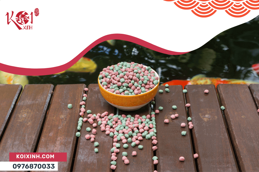 Cho cá Koi ăn lượng thức ăn phù hợp