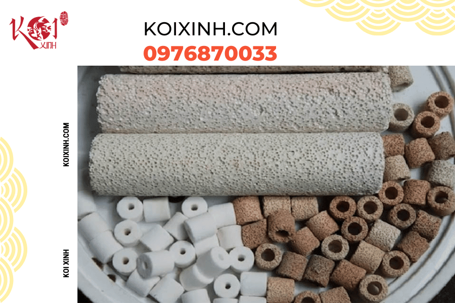 Những thông tin cơ bản bạn nên biết về hệ thống lọc hồ cá Koi