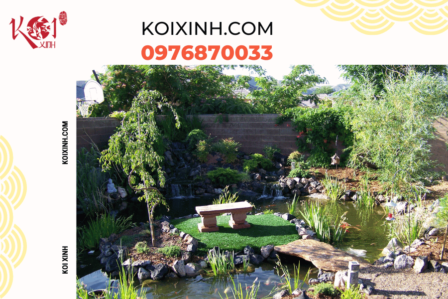 Những thông tin cơ bản bạn nên biết về hệ thống lọc hồ cá Koi