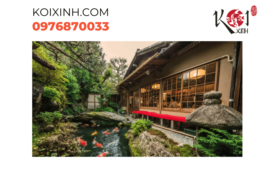 Kết hợp hoàn hảo giữa kiến trúc hiện đại và nghệ thuật cá Koi. Kết hợp hoàn hảo giữa kiến trúc hiện đại và nghệ thuật cá Koi.