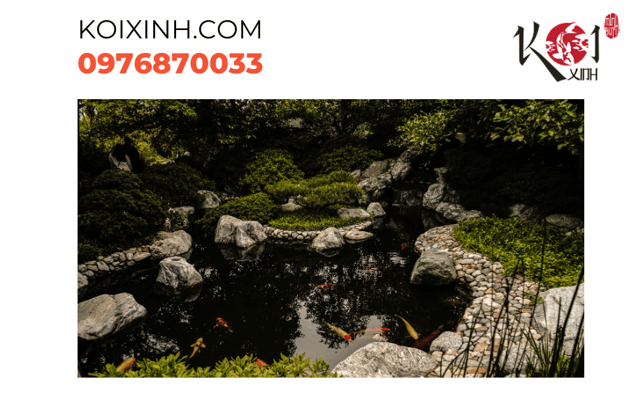 Nơi hòa quyện thiên nhiên và nghệ thuật: Hồ cá Koi hiện đại mang đến một môi trường sống tươi mới Nơi hòa quyện thiên nhiên và nghệ thuật: Hồ cá Koi hiện đại mang đến một môi trường sống tươi mới