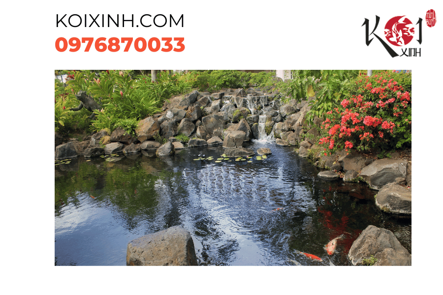 Thiết kế sáng tạo, hồ cá Koi hiện đại gợi lên cảm giác thanh lịch và hiện đại Thiết kế sáng tạo, hồ cá Koi hiện đại gợi lên cảm giác thanh lịch và hiện đại