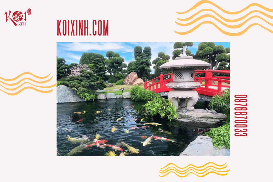 Ý nghĩa của cá Koi trong các nền văn hóa phương Đông Truyền thuyết về cá Koi vượt thác trong văn hóa Nhật Bản