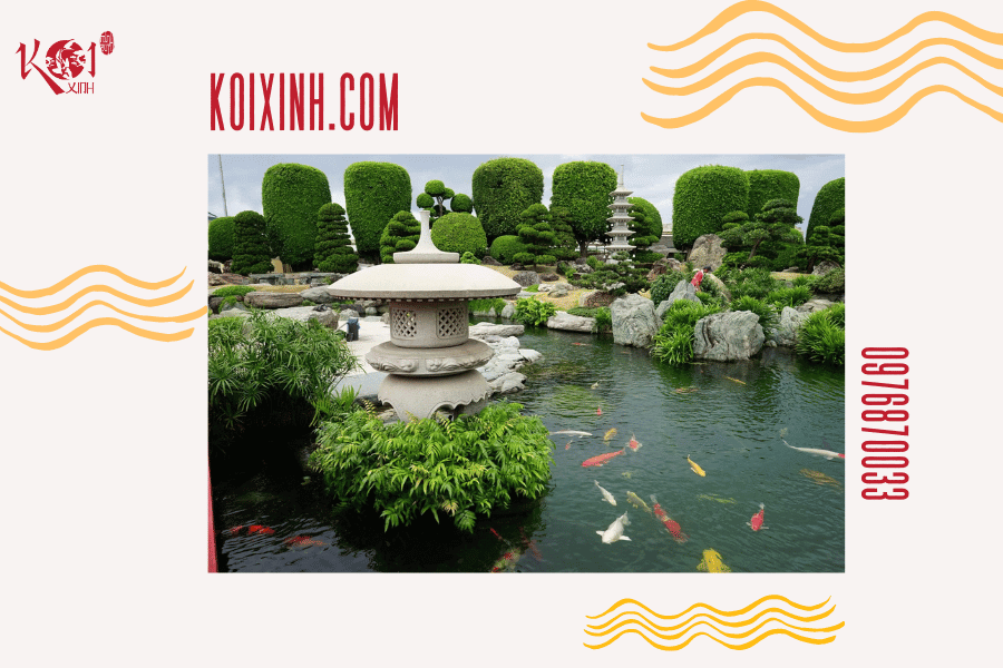 Ý nghĩa của cá Koi trong các nền văn hóa phương Đông Sự hiện diện của cá Koi trong kiến trúc và vườn cảnh