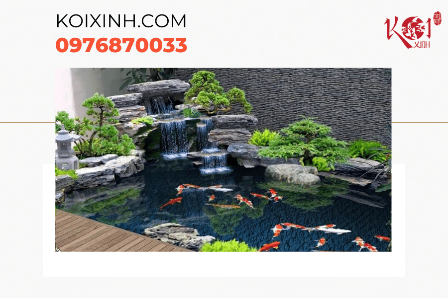 Mẹo vệ sinh hồ cá Koi giúp hồ cá luôn sạch đẹp Mùa thu
