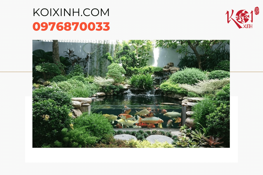Mẹo vệ sinh hồ cá Koi giúp hồ cá luôn sạch đẹp Khi nào bạn nên làm sạch hồ cá của mình?