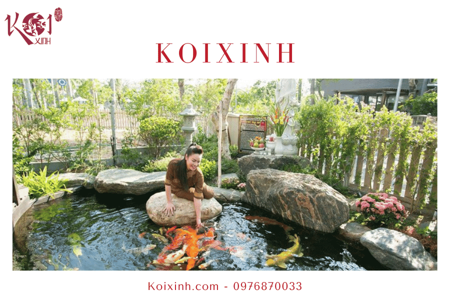 Một số vấn đề liên quan đến hồ cá Koi Đem lại may mắn cho gia chủ