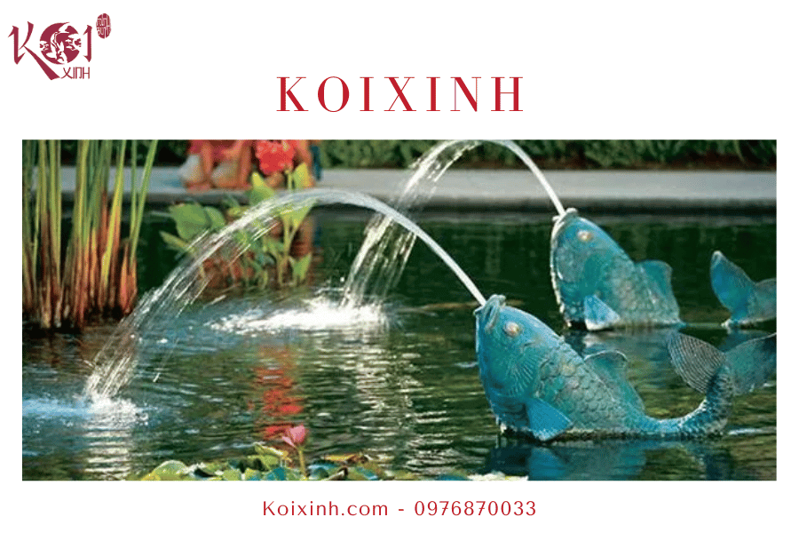 Một số vấn đề liên quan đến hồ cá Koi Tăng nồng độ oxy
