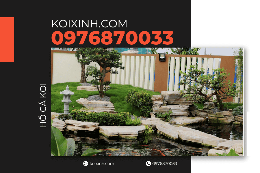 Tại sao bạn cần xây hồ cá Koi trong sân Tạo bối cảnh cho hồ cá