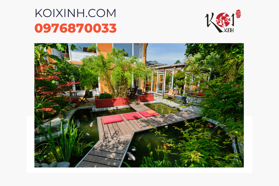 Dịch vụ thiết kế hồ cá Koi phong cách Nhật Bản toàn quốc Kết hợp hồ cá Koi với hòn non bộ hoặc tiểu cảnh