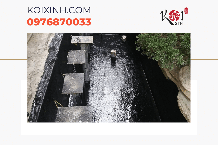 Dịch vụ thiết kế thi công bể cá Koi mini Hà Nội Dịch vụ thiết kế thi công bể cá Koi mini Hà Nội