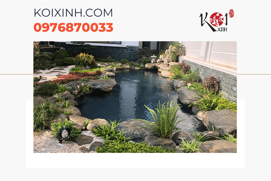 Dịch vụ thiết kế thi công bể cá Koi mini Hà Nội Dịch vụ thiết kế thi công bể cá Koi mini Hà Nội