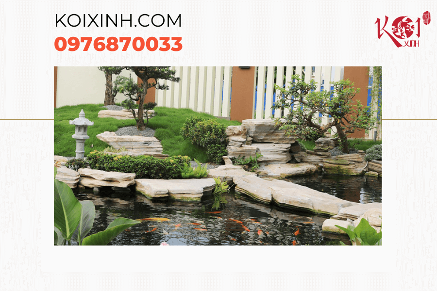 Hà Nội Thiết kế, thi công hồ cá Koi chất lượng, giá rẻ Tại sao bạn nên lựa chọn dịch vụ thiết kế, thi công hồ Koi tại Hà Nội của Koixinh?