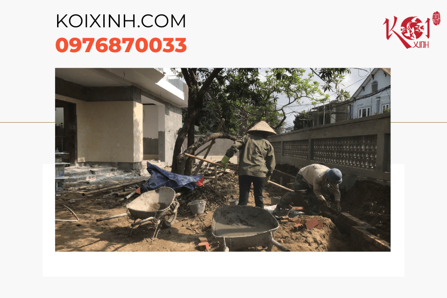 Hà Nội Thiết kế, thi công hồ cá Koi chất lượng, giá rẻ Các bước thiết kế và xây dựng hồ Koi tại Hà Nội của Koixinh