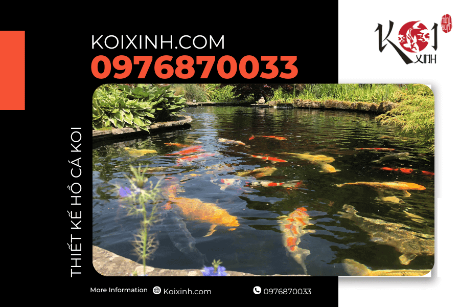 Bắt đầu hành trình xây dựng tâm hồn thiên nhiên! Bắt đầu hành trình xây dựng tâm hồn thiên nhiên!