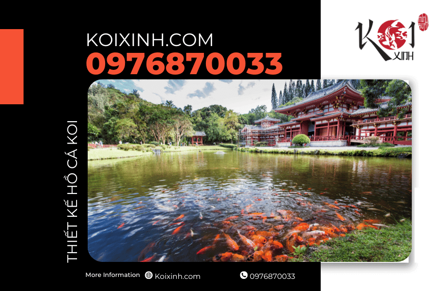Cá Koi - những người bạn đồng hành trung thành trong không gian sống của bạn. Cá Koi - những người bạn đồng hành trung thành trong không gian sống của bạn.