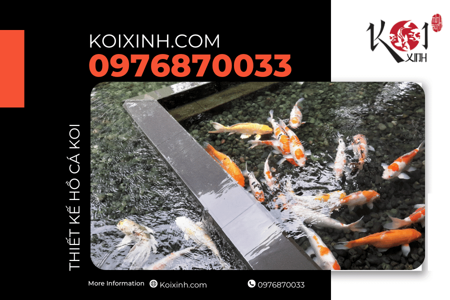 Tối thiểu không gian, tối đa trải nghiệm Tối thiểu không gian, tối đa trải nghiệm