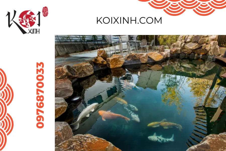 Tạo nên không gian sống độc đáo với hồ cá Koi tại ngôi nhà của bạn