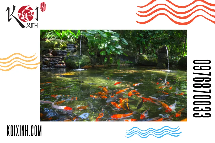 Vươn tầm thiên nhiên trong khu vườn của bạn Vươn tầm thiên nhiên trong khu vườn của bạn