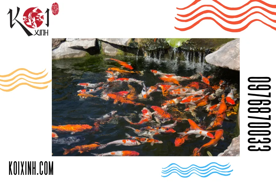 Dịch vụ thiết kế đẳng cấp, tạo nên sự sang trọng và sự sống cho ngôi nhà của bạn Dịch vụ thiết kế đẳng cấp, tạo nên sự sang trọng và sự sống cho ngôi nhà của bạn