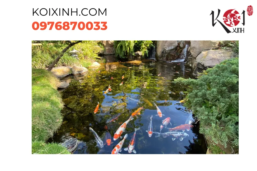 Nghệ thuật hòa quyện cùng thiên nhiên Nghệ thuật hòa quyện cùng thiên nhiên