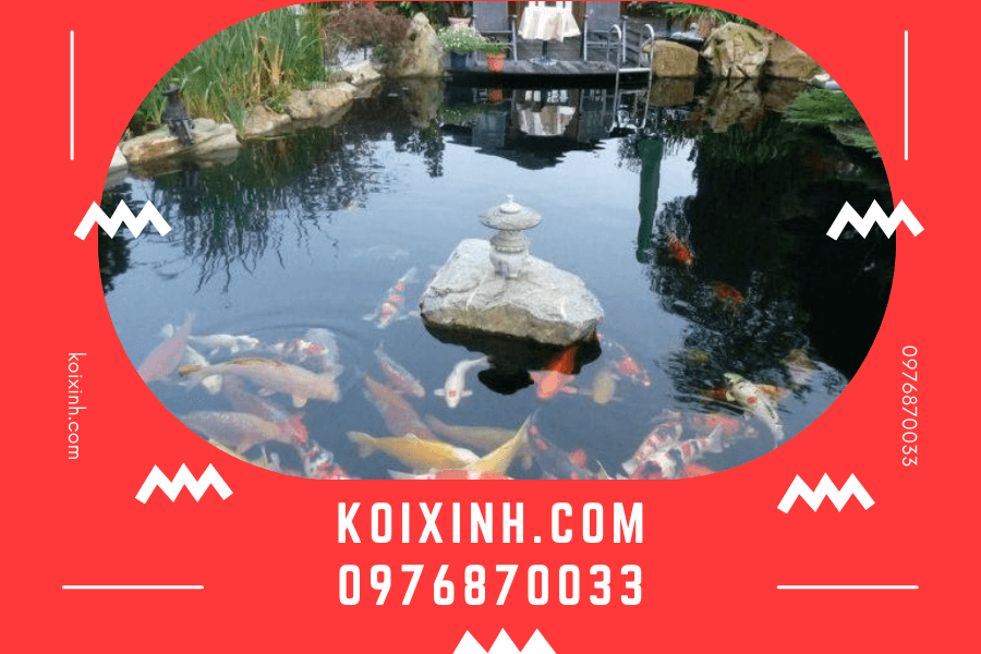 Lợi ích của dịch vụ thi công hồ cá Koi hợp phong thủy Lợi ích của dịch vụ thi công hồ cá Koi hợp phong thủy