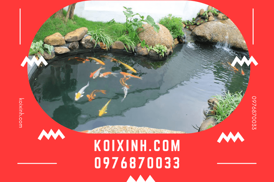 Hệ thống lọc và cơ sở hạ tầng Hệ thống lọc và cơ sở hạ tầng