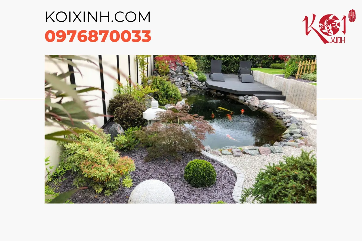 Hướng dẫn các bước thi công hồ cá Koi tại Sơn La