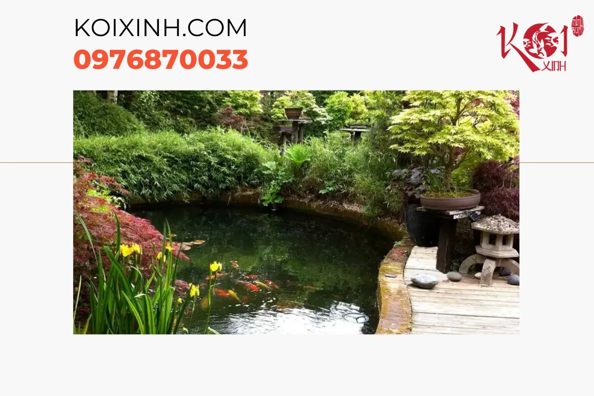 Bước 5: Đổ đế