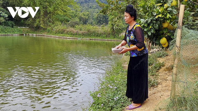 Học nhau cách làm giàu, nông dân có thu nhập hàng trăm triệu đồng - Ảnh 2.