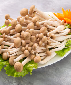 Nấm Thủy Tinh Tươi