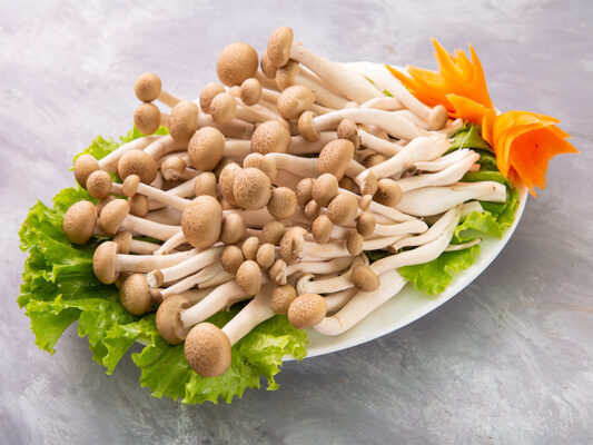 Nấm Thủy Tinh Tươi